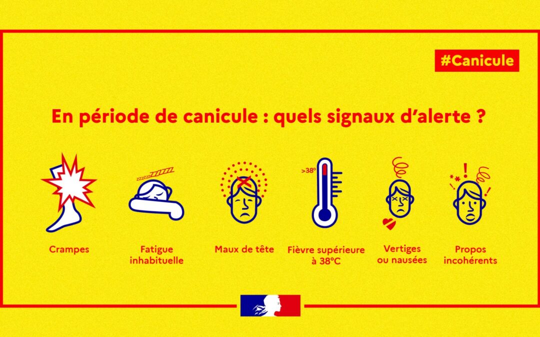 Canicule : les recommandations lors de fortes chaleur