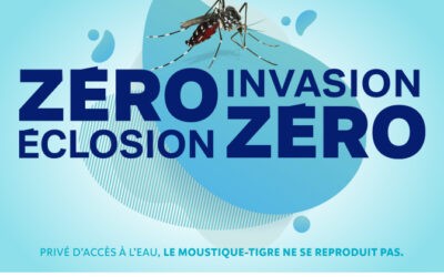 Hérault : le moustique tigre à nouveau placé sous haute surveillance