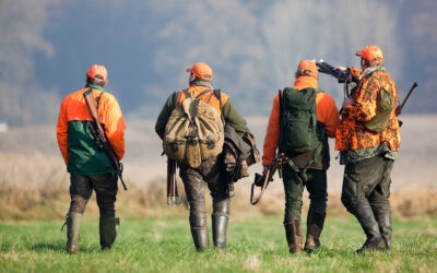 Sécurité en période de chasse : comprendre et respecter la signalisation des battue