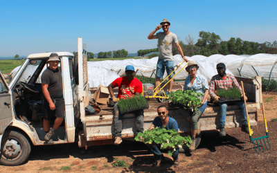 Du nouveau à l’Agroécopôle du Domaine de Mirabeau