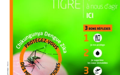 Moustique tigre : les bons gestes pour protéger votre foyer