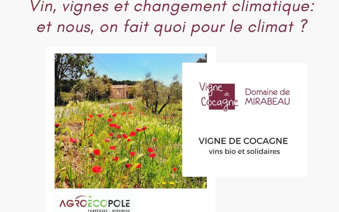 Vigne, vin et changement climatique