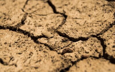Gestion de la sécheresse – Mesures de restrictions des usages de l’eau