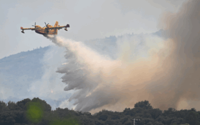 Vigilance feux de forêt : fermeture des massifs